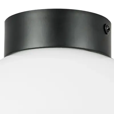 812117 Люстра GLOBO 1х40W E14 matt black/white Lightstar