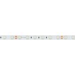 Светодиодная лента RT-B60-10mm 24V Yellow (14.4 W/m, IP20, 5060, 5m) (Arlight, 14.4 Вт/м, IP20)