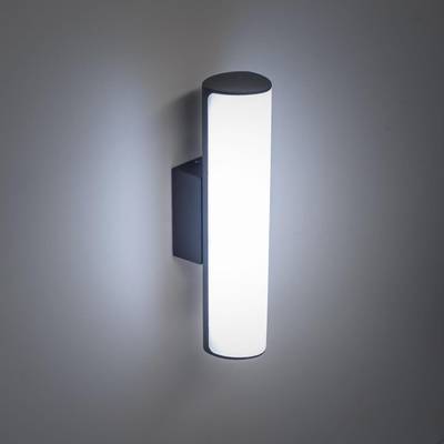 Citilux CLU0007 LED Уличный светильник Графит