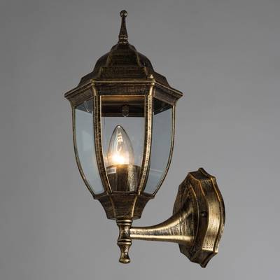 Уличный настенный светильник Arte Lamp PEGASUS A3151AL-1BN, 1хE27