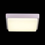 SLE200212-01 Светильник потолочный Белый/Белый LED 1*20W 4000K