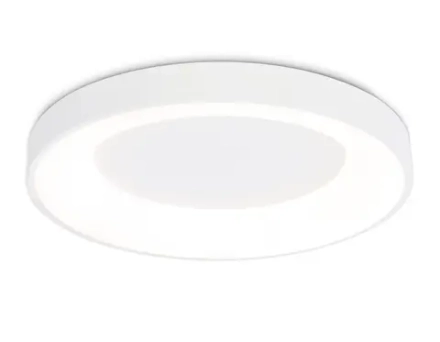 Потолочный светодиодный светильник FZ1401 WH белый IP20 48W 3000K-6500K D500*50 (ПДУ ИК)