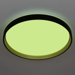 Citilux ENZO CL753511G LED RGB Светильник с пультом Черный + Золото