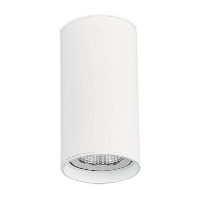 ST157.542.15 Светильник потолочный Белый LED 1*15W 4000K 1 200Lm Ra&gt;90 60° IP44 D75xH140 220-265V