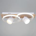 29560-0.3-2+2 WH+WOOD светильник потолочный