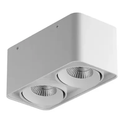 052326-IP65 Светильник MONOCCO LED 2х10W 1200LM 30G БЕЛЫЙ 3000K Lightstar