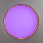 Citilux ENZO CL753352G LED RGB Светильник с пультом Клён