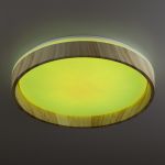 Citilux ENZO CL753352G LED RGB Светильник с пультом Клён