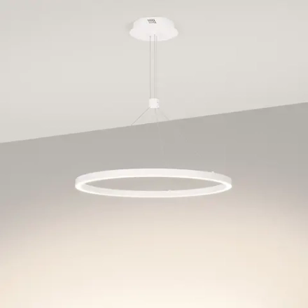 Светильник SP-CONGO-CAN-1-R600-36W Day4000 (WH, 120 deg, 230V) (Arlight, IP20 Металл, 5 лет)