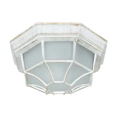 Уличный потолочный светильник Arte Lamp PEGASUS A3121PF-1WG, 1хE27