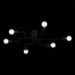 SL419.442.06 Люстра потолочная Черный E27 6*60W