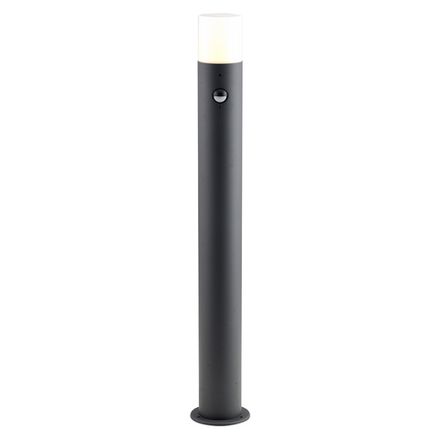 Уличный светильник Escada 10180/T E27*60W Dark grey