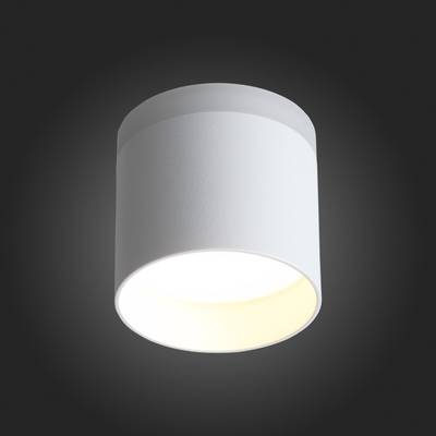 ST102.502.12 Светильник потолочный Белый LED 1*12W 3000K 936Lm Ra&gt;80 120° IP20 D100xH90 170-240V