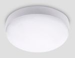 Уличный светодиодный светильник ST8631 WH белый IP65 LED 4200K 20W D170*60