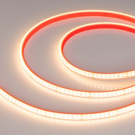 Лента герметичная DOT-PFS-X160-10mm 24V Warm2700 (12 W/m, IP68, 5m) (Arlight, 5 лет)