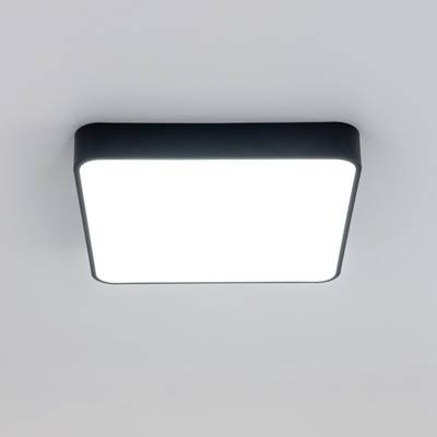 Citilux Купер CL724K70G1 LED RGB Светильник с пультом Чёрный
