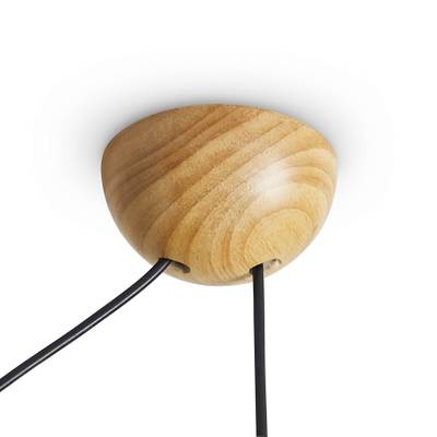 Потолочный светильник FR5554CL-01T, E27х1. TM Maytoni