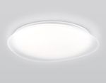 Светильник светодиодный RGB с пультом  FZ1615 FR матовый IP20 60W 3000-6500K+RGB 510*100 (ПДУ ИК)