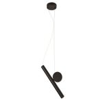 Подвесной светильник Arte Lamp BEEMIM A2090SP-1BK, 1хLED