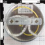 Citilux Синди CL330111 Подвесной хрустальный светильник Хром