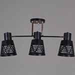 06074-3.3-03 BK+FG светильник потолочный Reluce, E27х3