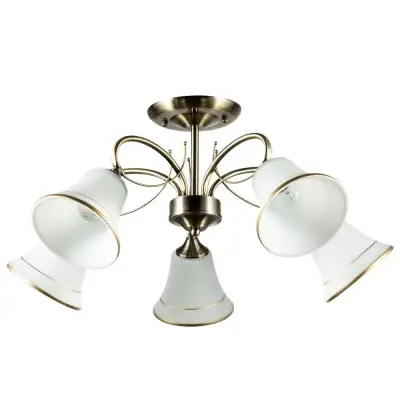 Потолочная люстра Arte Lamp BLOSSOM A2709PL-5AB, 5хE27