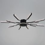 97290-0.3-12 BK светильник потолочный