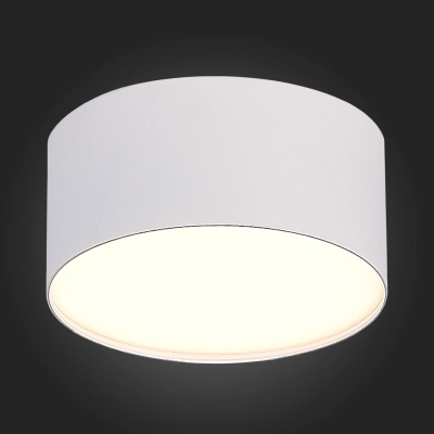 ST606.532.12 Светильник потолочный Белый LED 1*12W 3000K 1 080Lm Ra>85 120° IP20 D120xH55 185-265V