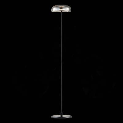 SL6002.405.01 Торшер ST-Luce Черный/Дымчатый LED 1*7W 4000K