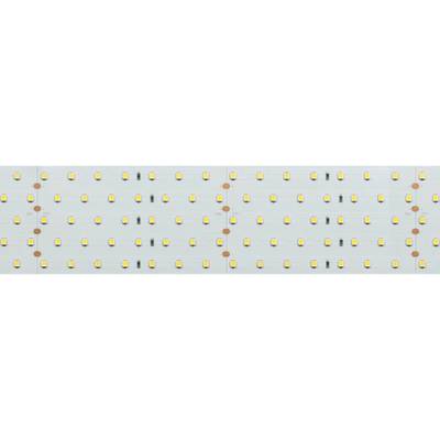 Лента RT 2-2500 24V Day4000 5x2 (2835, 875 LED, LUX) (Arlight, 36 Вт/м, IP20)