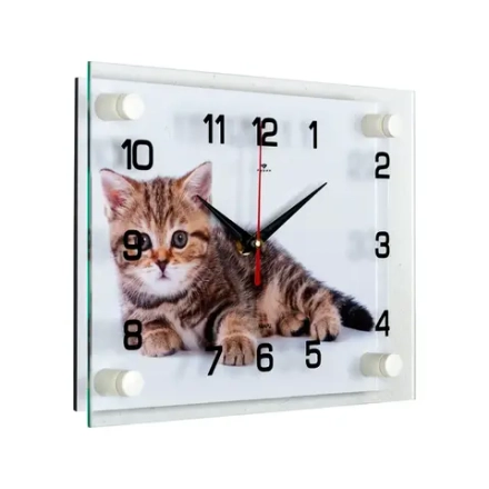 2026-472 Часы настенные "Рубин"(10) 21 век (Рубин)