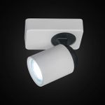 Citilux Норман CL533510 Спот поворотный Белый