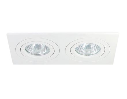 Встраиваемый поворотный точечный светильник GU5.3 TN102626/2 WH белый GU5.3 175*95*28