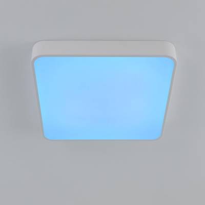Citilux Купер CL724K70G0 LED RGB Светильник с пультом Белый