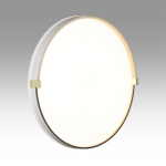 7646/DLN PALE SN 189 Светильник пластик/белый/золотой LED 48Вт 3000/4000/6000К D390 IP43 CCT OLIDI WHITE