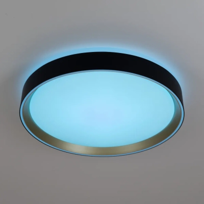 Citilux BOSS CL751351G LED RGB Светильник с пультом Чёрный с Золотом