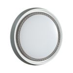 7644/EL PALE SN 136 Светильник пластик/белый/серый LED 70Вт 3000-6000К D520 IP43 пульт ДУ RAHIG