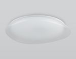 Светильник светодиодный RGB с пультом  FZ1615 FR матовый IP20 60W 3000-6500K+RGB 510*100 (ПДУ ИК)