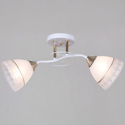 11460-0.3-02 WH+FG светильник потолочный