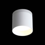 ST102.502.09 Светильник потолочный Белый LED 1*9W 3000K 702Lm Ra&gt;80 120° IP20 D79xH75 170-240V