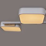 03361-0.3-04 WH+WOOD светильник потолочный