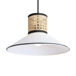Подвесной светильник Mixture FR5483PL-01B3, E27х1. TM Maytoni
