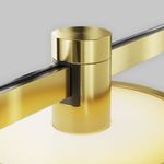 Трековый светильник Plato Flarity 3000K 7Вт 120°, TR152-1-7W3K-BS. TM Maytoni