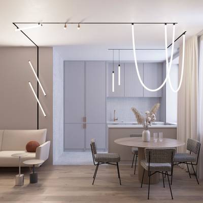 Светильник MAG-ORIENT-TUBE-HANG-L500-7W Day4000 (BK, 360 deg, 48V) (Arlight, IP20 Металл, 3 года)