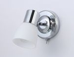 Накладной спот с выключателем TR3961 CH/FR хром/белый матовый E27 max 40W 118*105*200