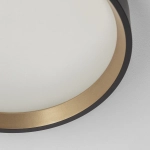 Citilux ETALON CL750181 LED Светильник с подсветкой Чёрный+Золото