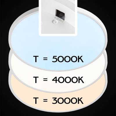 Citilux Бейсик CL738500V Светильник накладной Белый