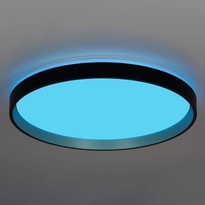 Citilux ENZO CL753511G LED RGB Светильник с пультом Черный + Золото