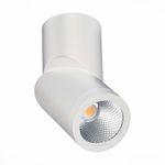 ST650.542.10 Светильник потолочный Белый LED 1*10W 4000K 800Lm Ra&gt;90 38° IP44 D60xH175 165-265V