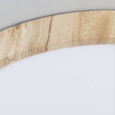 Citilux Бейсик CL738182V LED Светильник накладной Клён